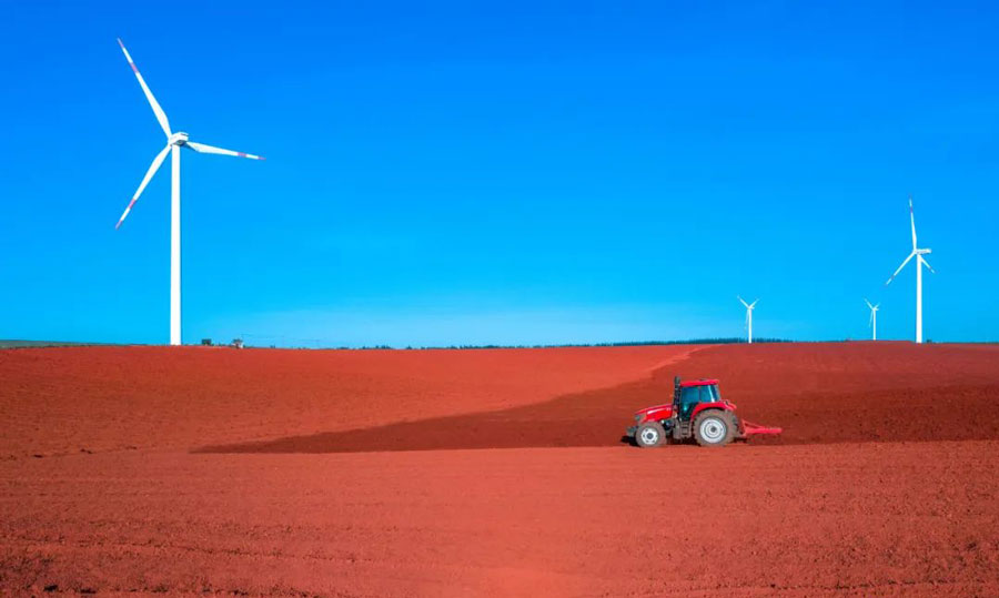 凤梨和菠萝的区别视频,菠萝凤梨是一个东西吗