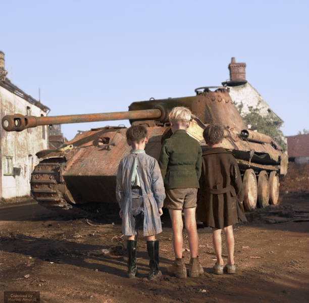 100个难得一见照片，砍伐巨树，运输军舰的巨轮，治疗风湿病的熊