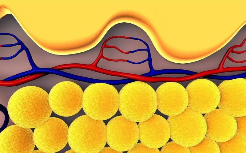 为什么毒蛇毒不死猪,为什么说猪是毒蛇的克星