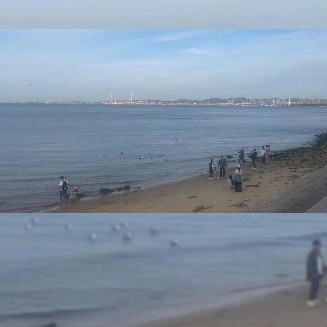 程序员入职到离职全过程vlog,程序员入职第一天vlog