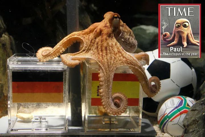 章鱼是外星生物吗,章鱼是外星生物吗完整解说