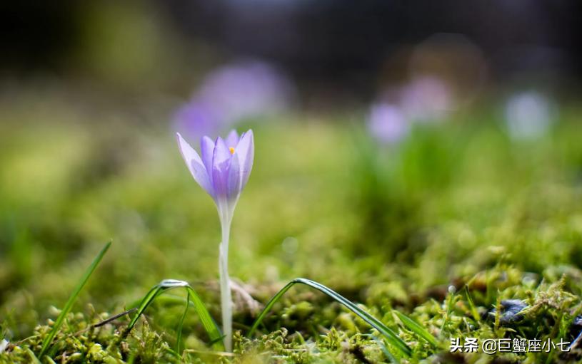 故意让你紧张吃醋的星座男,吃醋爱冷战的星座男