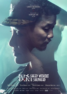 比误杀还好看的国产电影,电影推荐大片误杀9.0以上评分