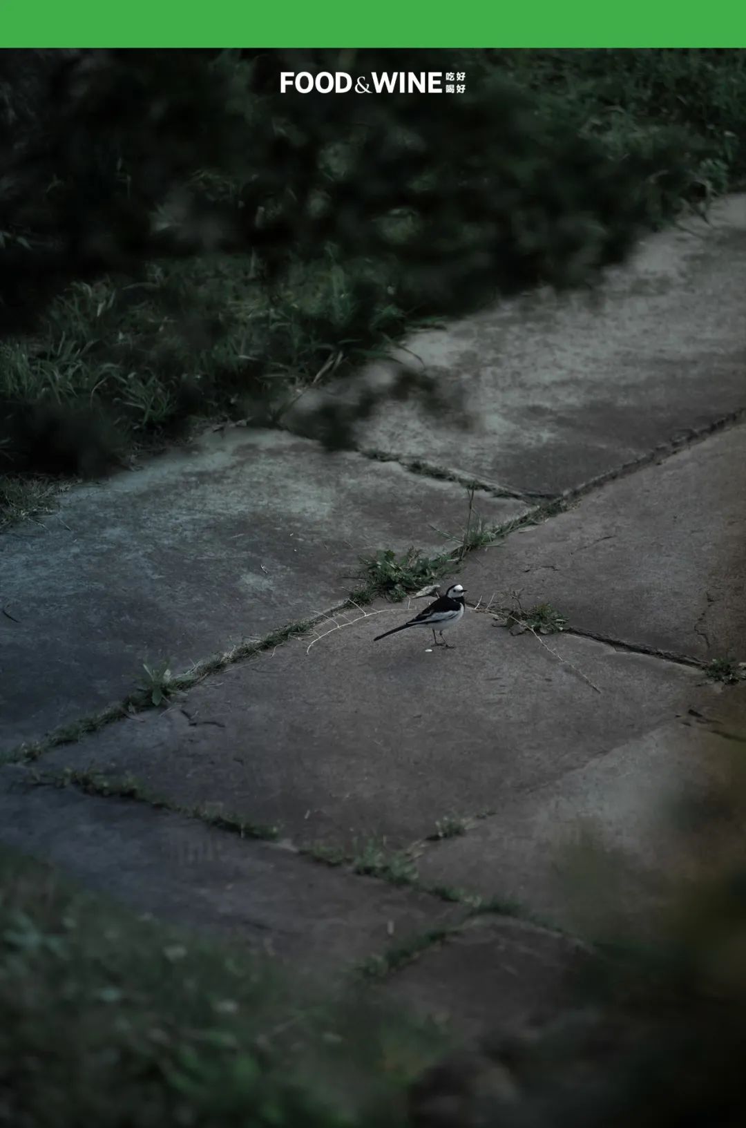 涓囧绂呭鏂嬮キ,鏅痉闀囧搴欏悆鏂嬮キ