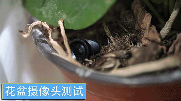 酒店里最难找到的摄像头在哪里,酒店顶灯被发现藏摄像头