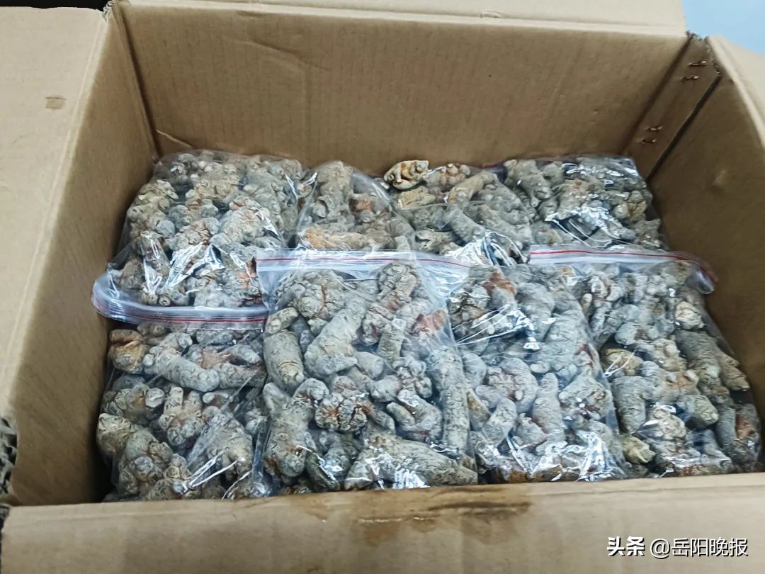 艾灸馆停业整顿,艾灸馆被查封