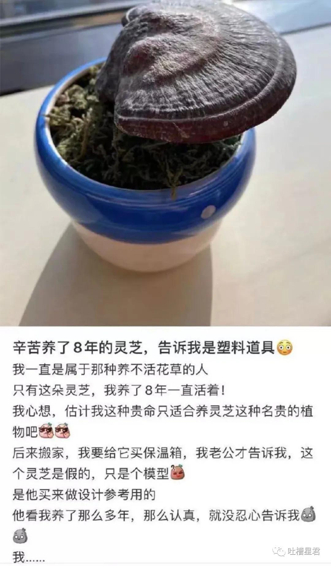 41万卡地亚后续,四十万买卡地亚被看不起