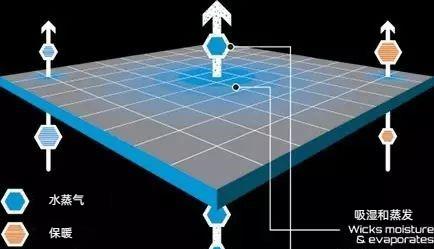 燃脂背心,运动背心哪种材质最好