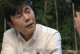 浙江卫视收视率最高的剧,浙江卫视三年收视率最高的电视剧