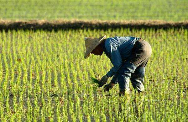 斯里兰卡国家破产民众怎么办,破产的国家斯里兰卡