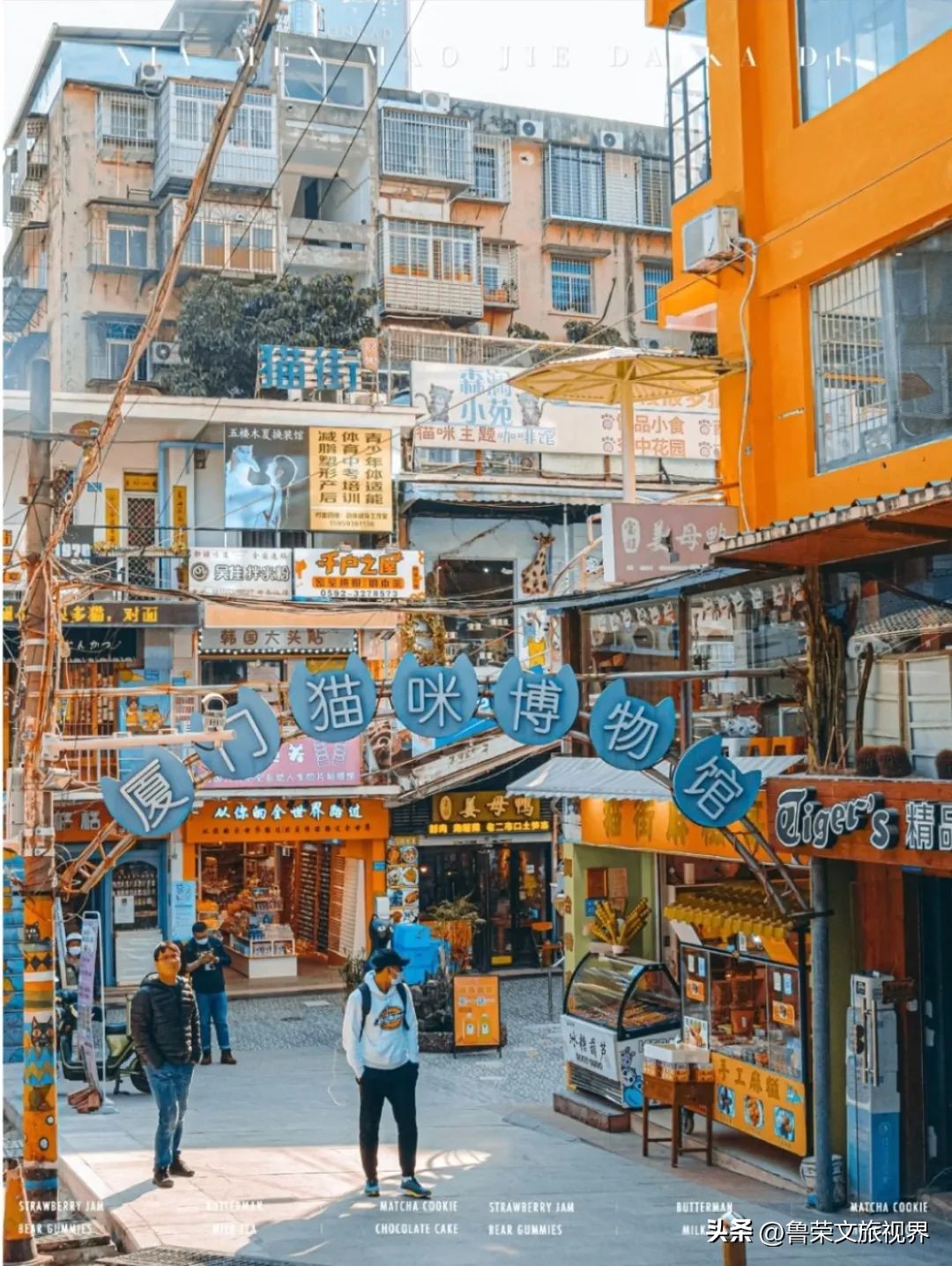 厦门橘子海,去厦门想看海住在哪里合适