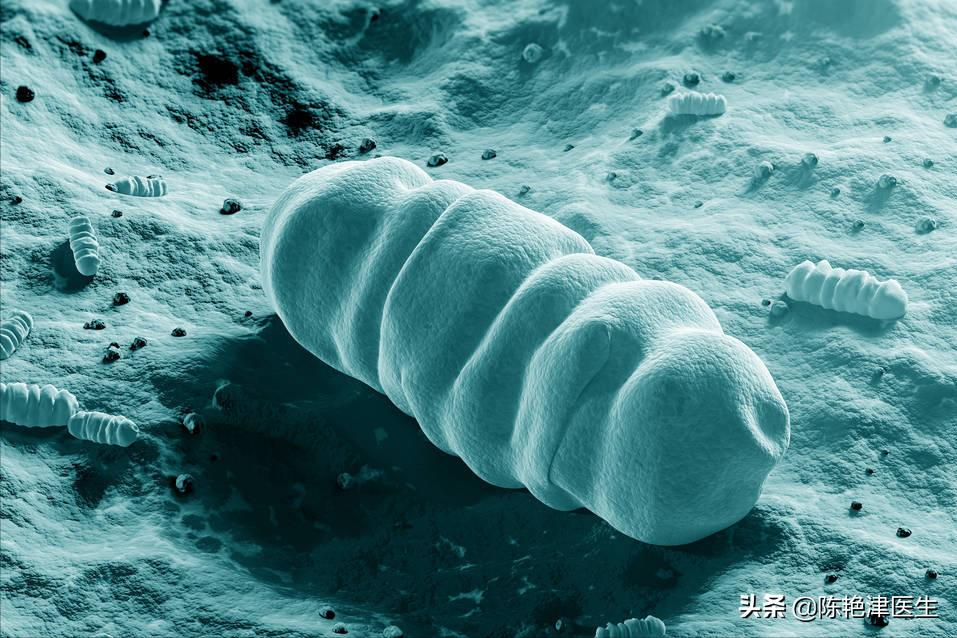 胃癌最大的祸根是幽门螺杆菌，想要彻底杀菌，记住3个办法