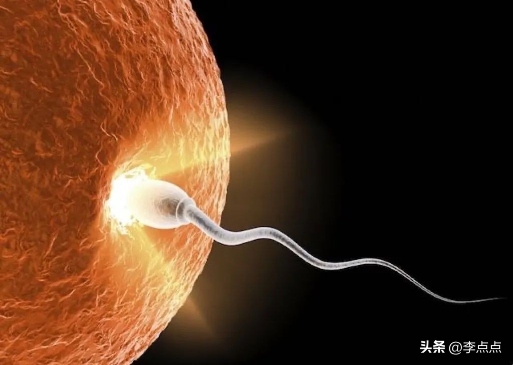 “妈妈,避孕套是做什么用的?”我终于跟娃坦诚地聊了聊