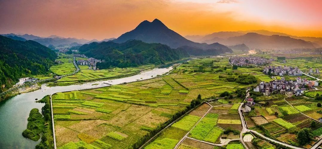 菜吧农庄未来前景,菜吧农庄怎么盈利