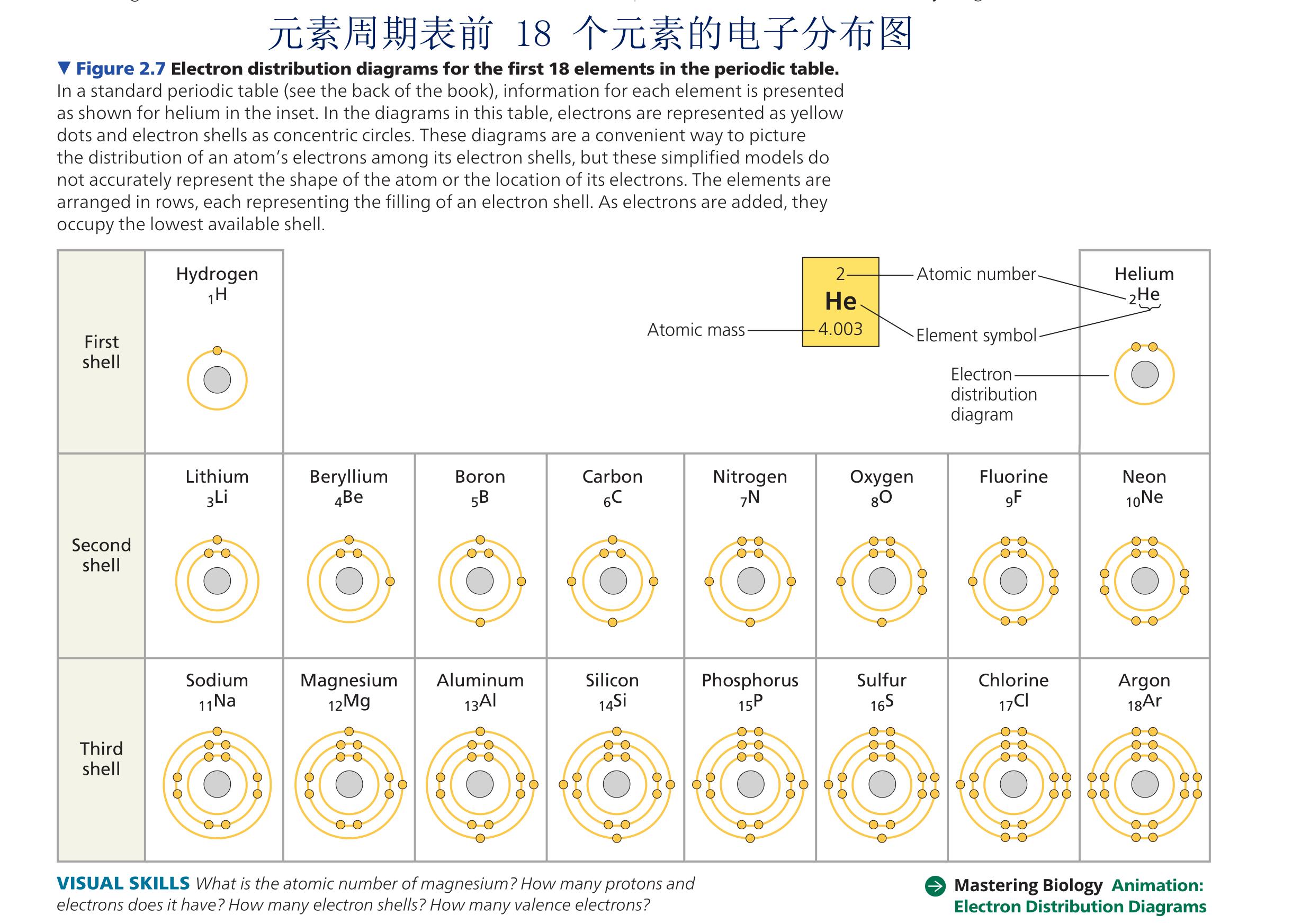 初中化学必背的单词,生物这个单词速记口诀