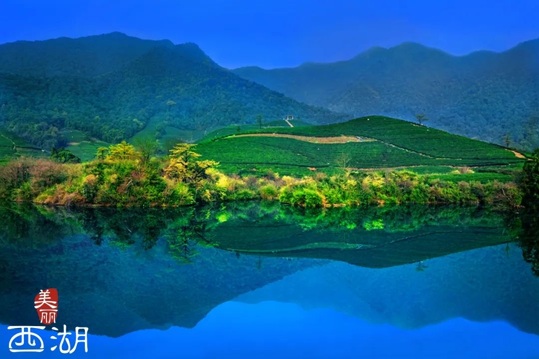 中国国际茶博会特色展览,国际茶博会永久会址