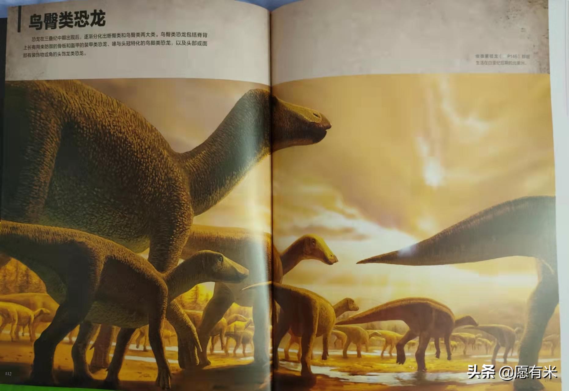 恐龙图片大全大图和恐龙名称,恐龙世界各种恐龙图片