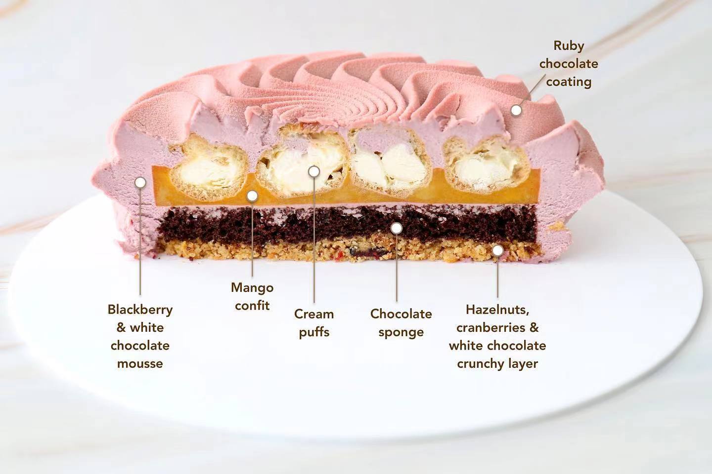 蛋糕切面,蛋糕两层夹心切面图片