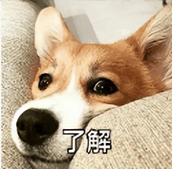 津心答电台|最困扰网友的问题，如何修改账号信息？答案看这里→