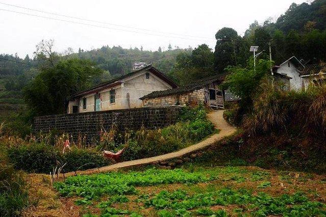 资本下乡了农民怎么办,资本下乡的关键