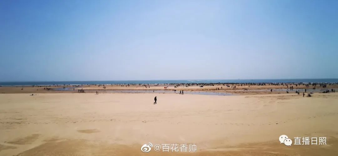 日照网友评价,日照博主评论区