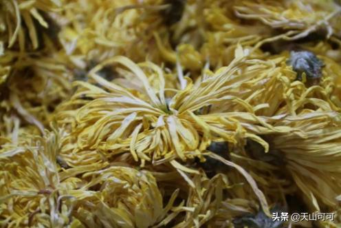 菊花茶怎么判断菊花的好坏,菊花茶白色和黄色菊花哪个好