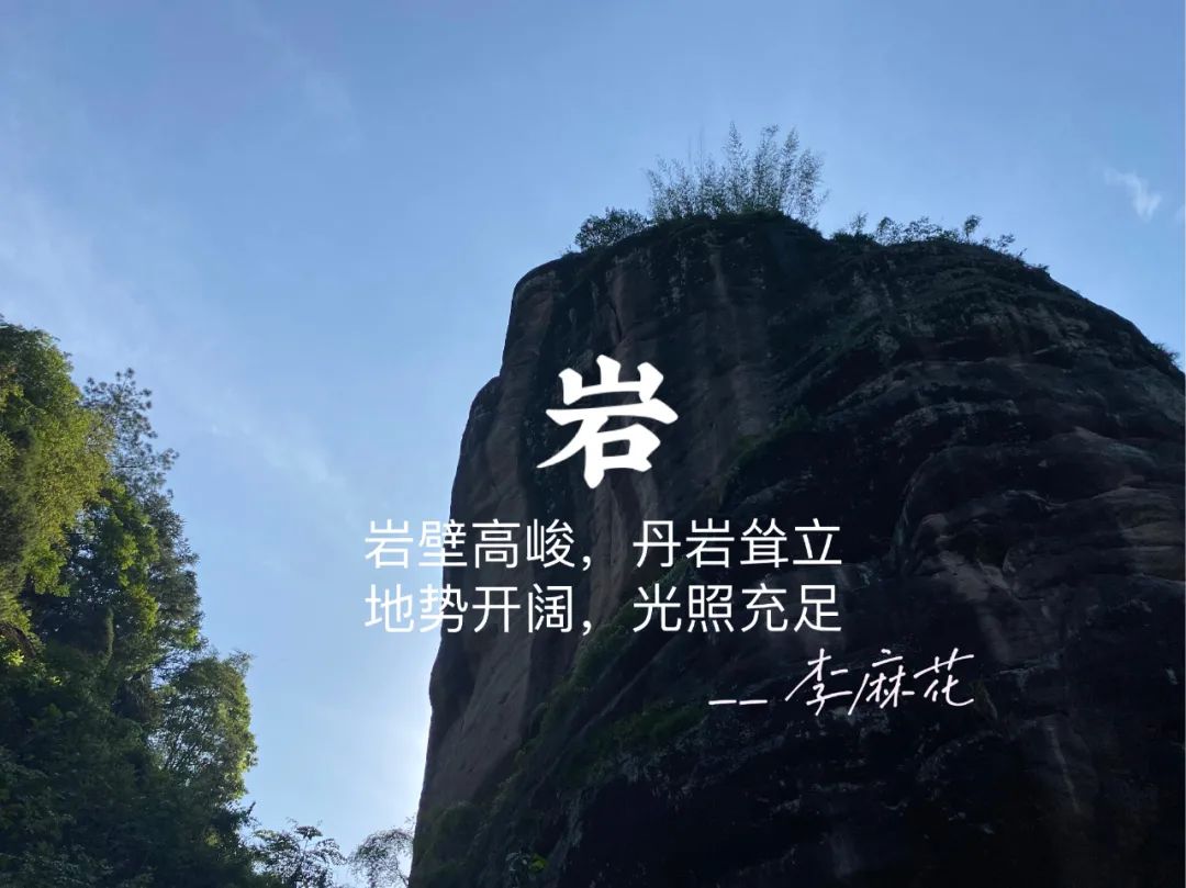 咸味、骨架感、喝起来像油，你永远想象不到，岩茶圈还有多少奇葩