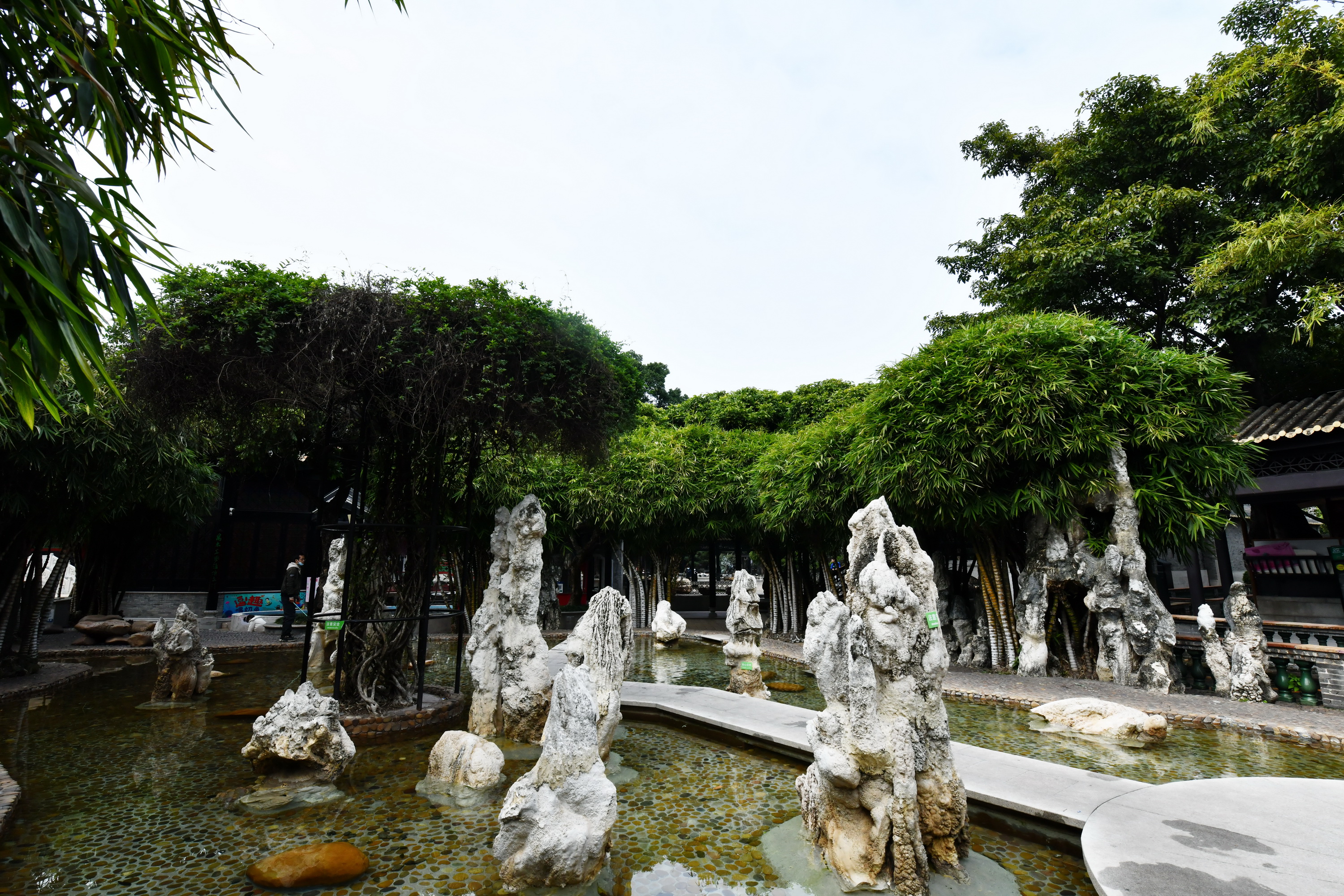 广州市番禺区宝墨园攻略,广州宝墨园景观