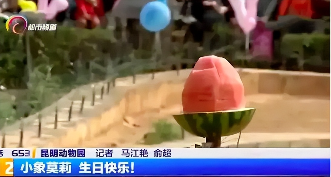 6岁公主活成“脚链囚徒”，背后的动物表演让人心疼