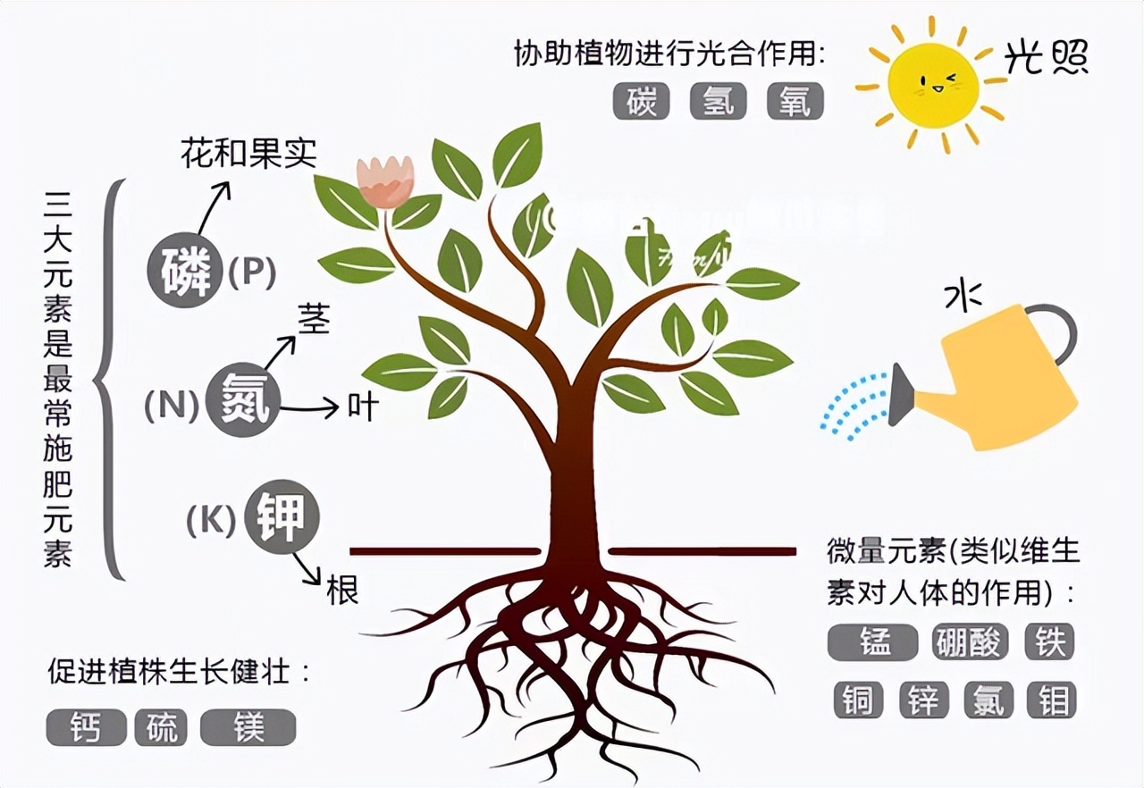 花多多是磷酸二氢钾吗,花多多2号是智商税吗