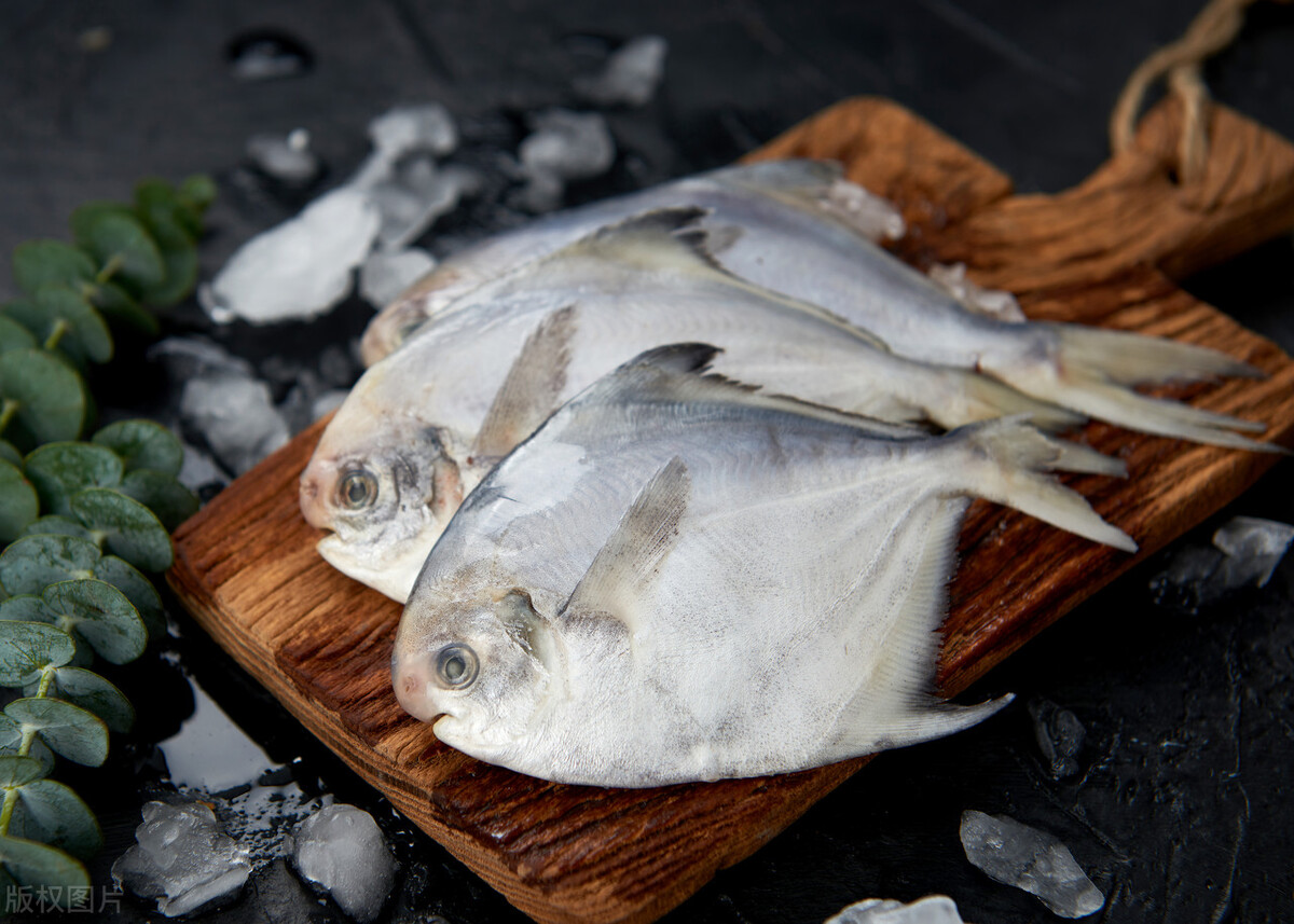 要吃鱼的观赏鱼,无人工养殖的野生鱼有哪些