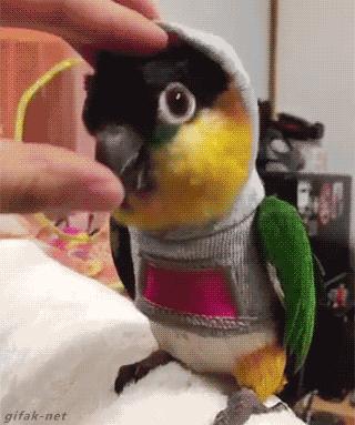 100个难得一见照片,火山爆发时的岩浆图片真实