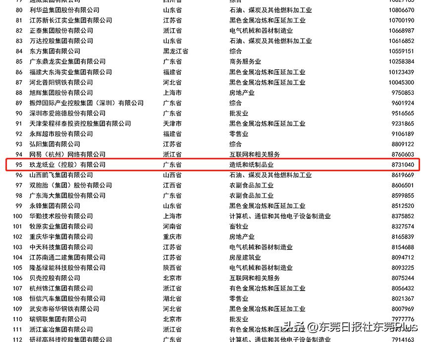 玖龙纸业200强,玖龙纸业中国民营企业排名