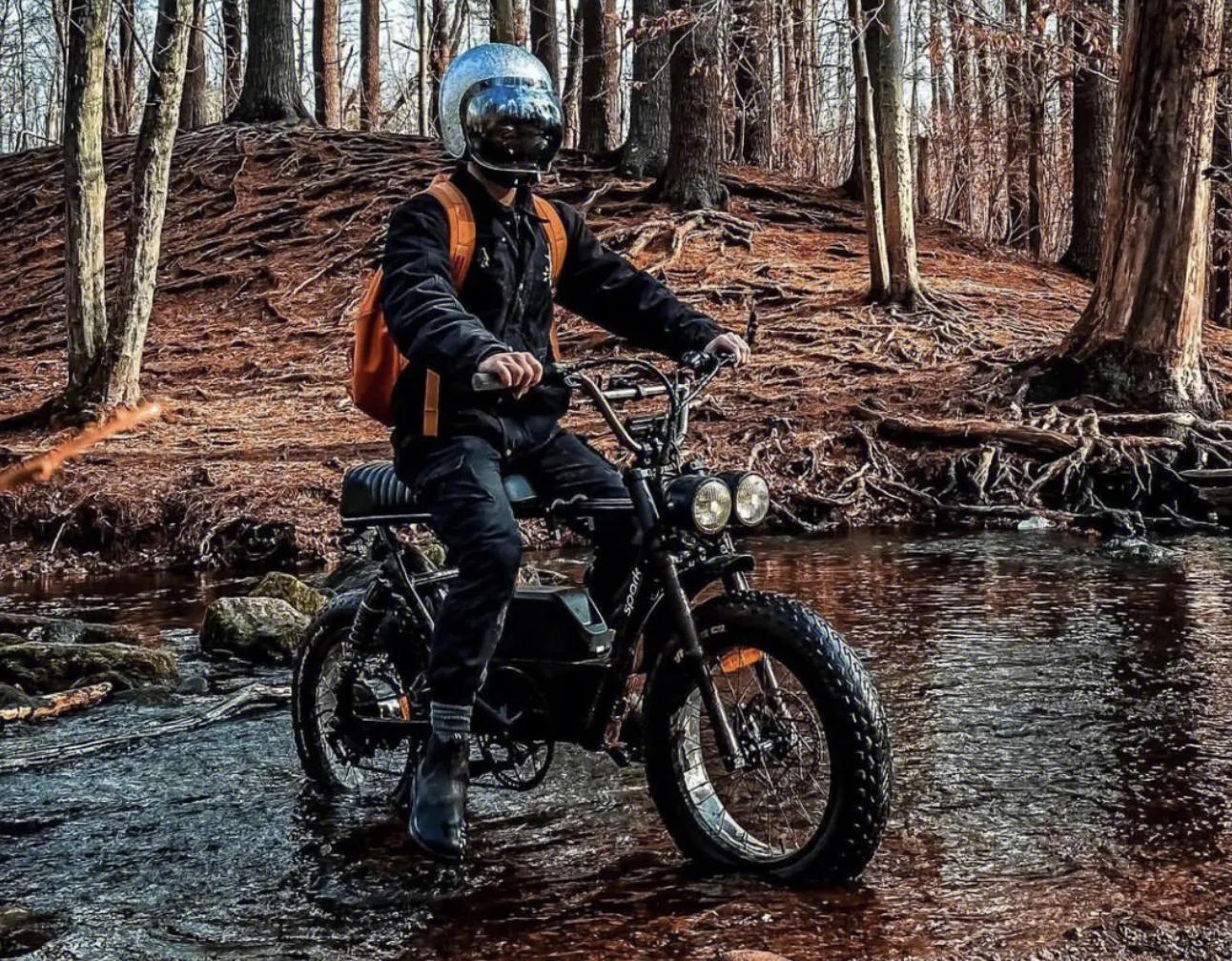 爱玛和宗申哪个质量好老年代步,宗申爱玛电动车的缺点