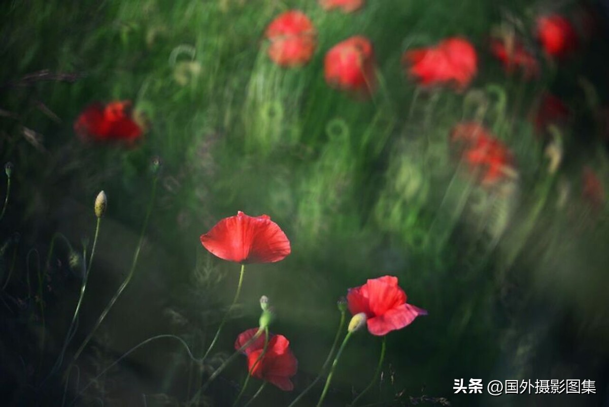 最美的景色秋天照片高清,夏天和秋天的绝美照片