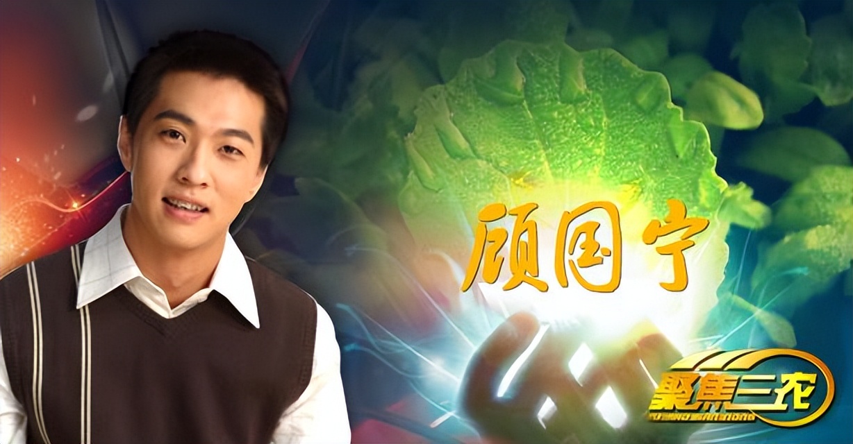 央视播音员顾国宁近况,央视男主播顾国宁图片