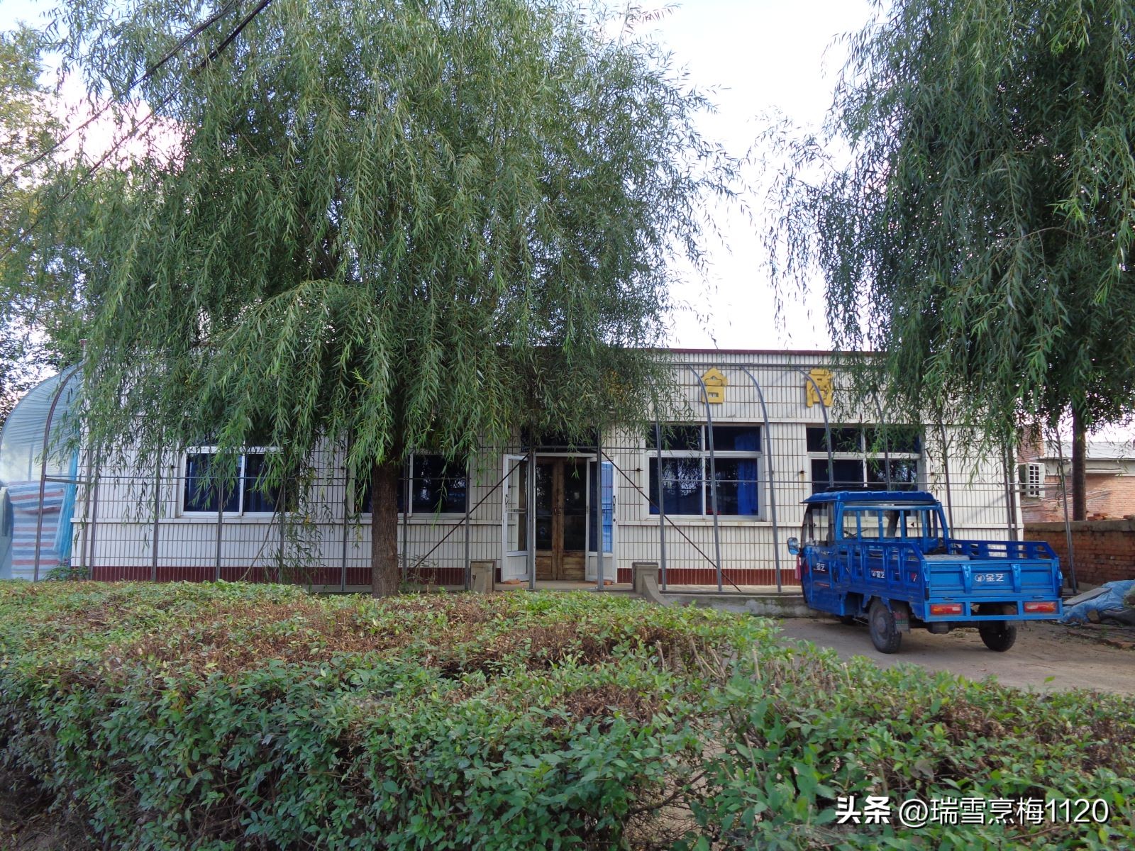 地名档案|旁新线公路沿线村庄之四：沈北新区马刚街道依路村