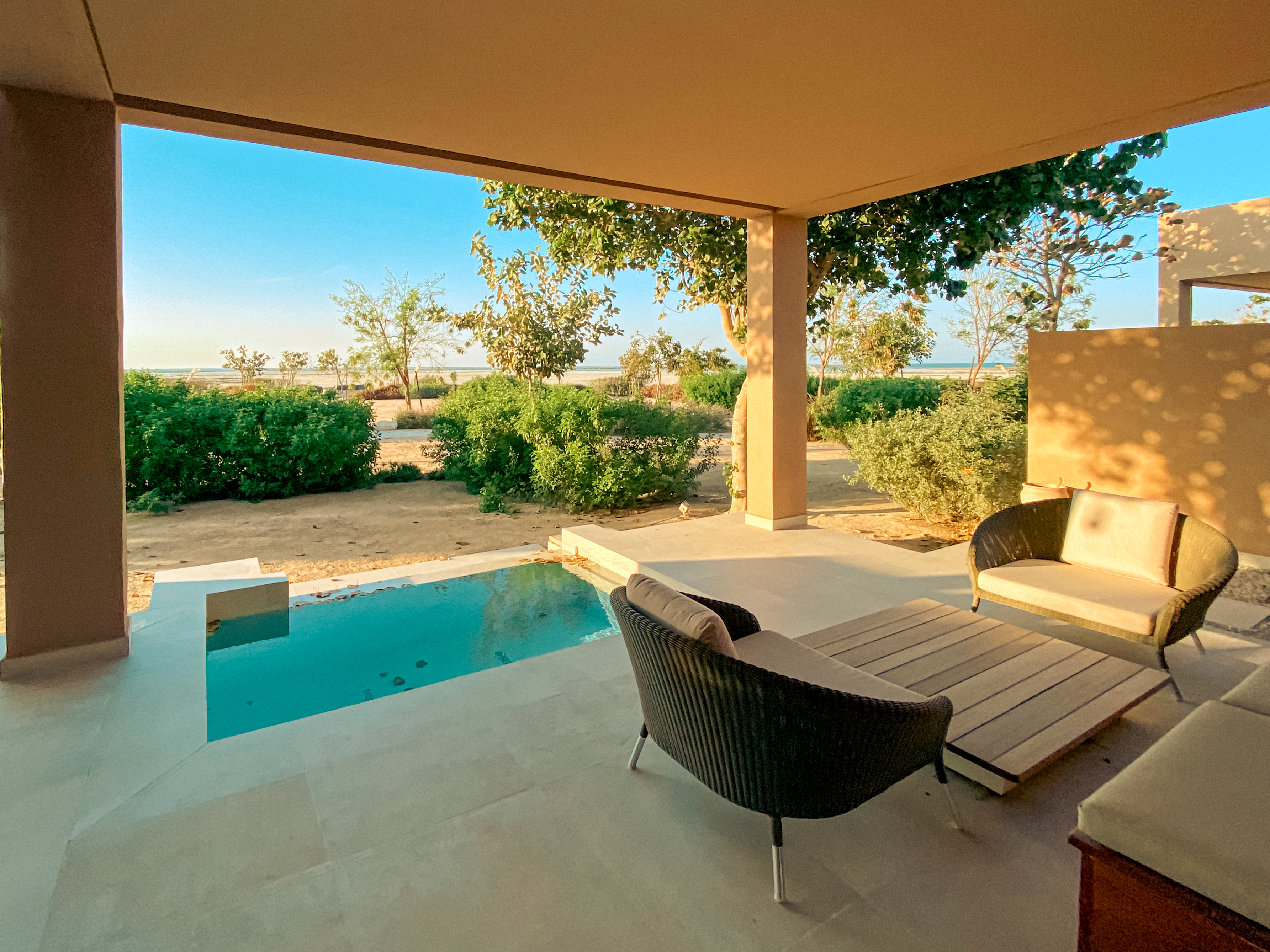 德国卡塔尔世界杯之旅,德国对卡塔尔世界杯