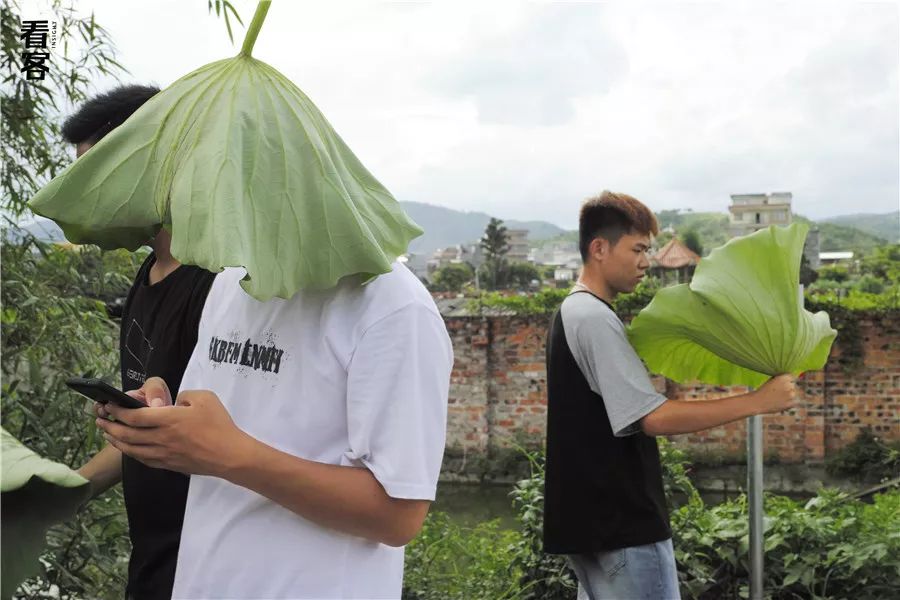 小镇的暑假,小镇少年的假期