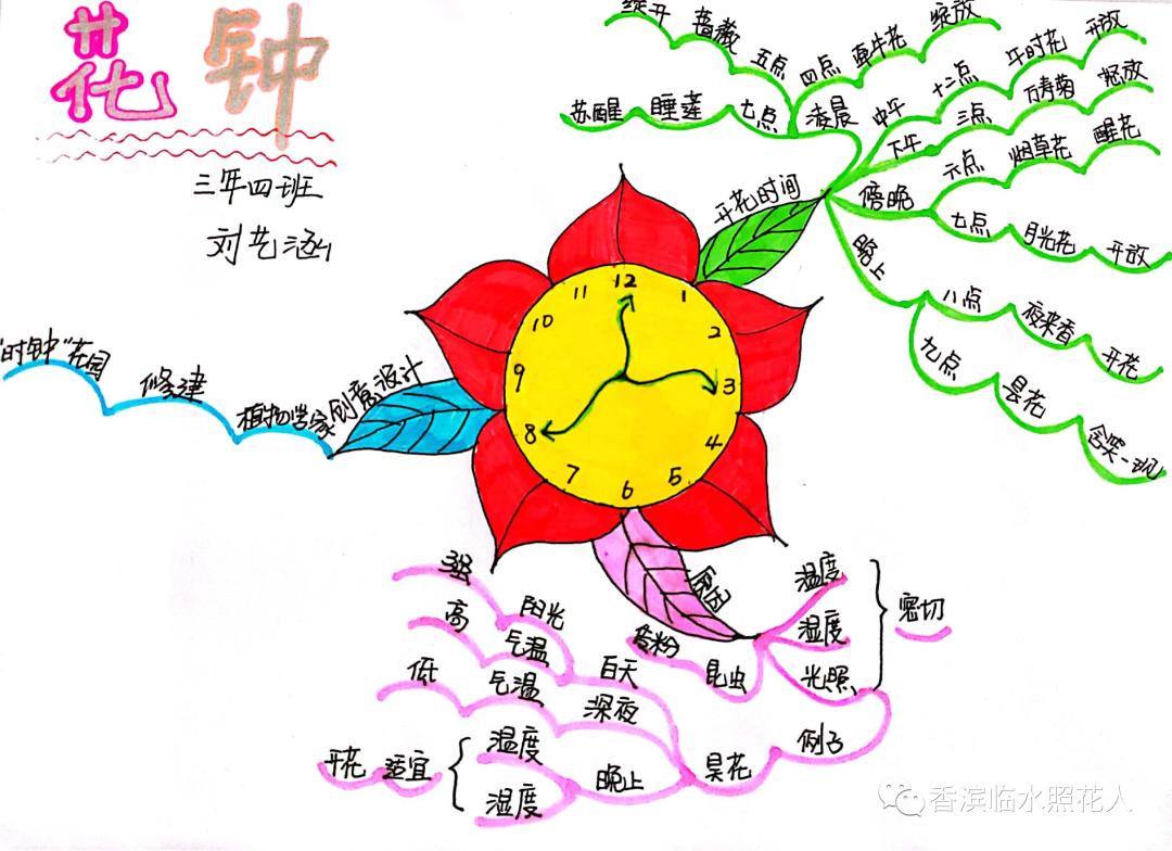 三年级下册语文花钟思维导图简单,三年级下册第13课花钟做思维导图