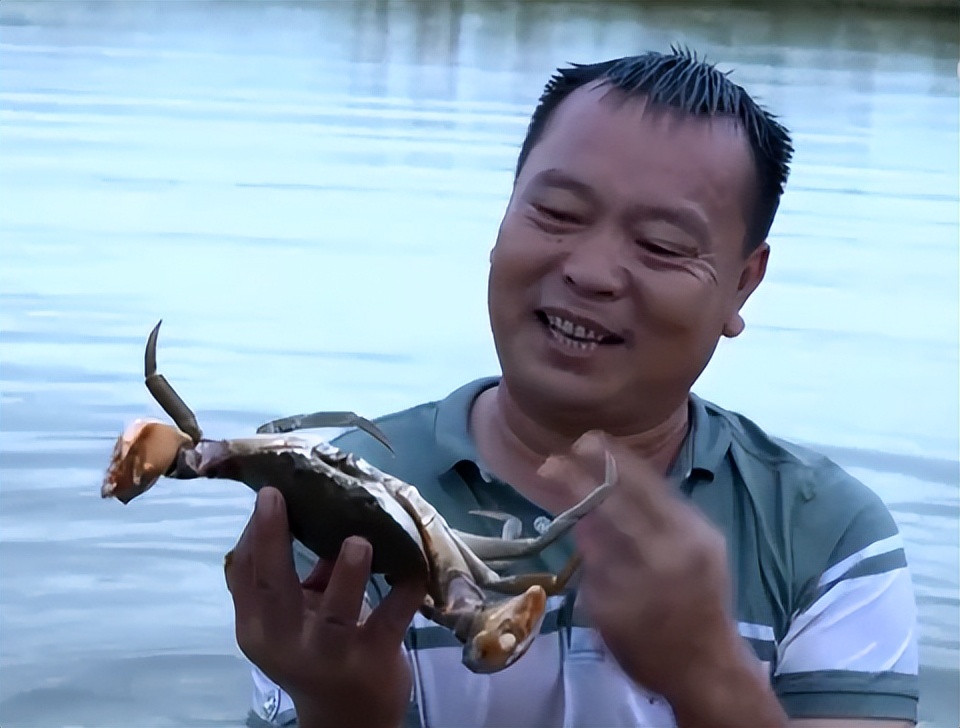 广东小伙子养黄油蟹,中国养殖黄油蟹