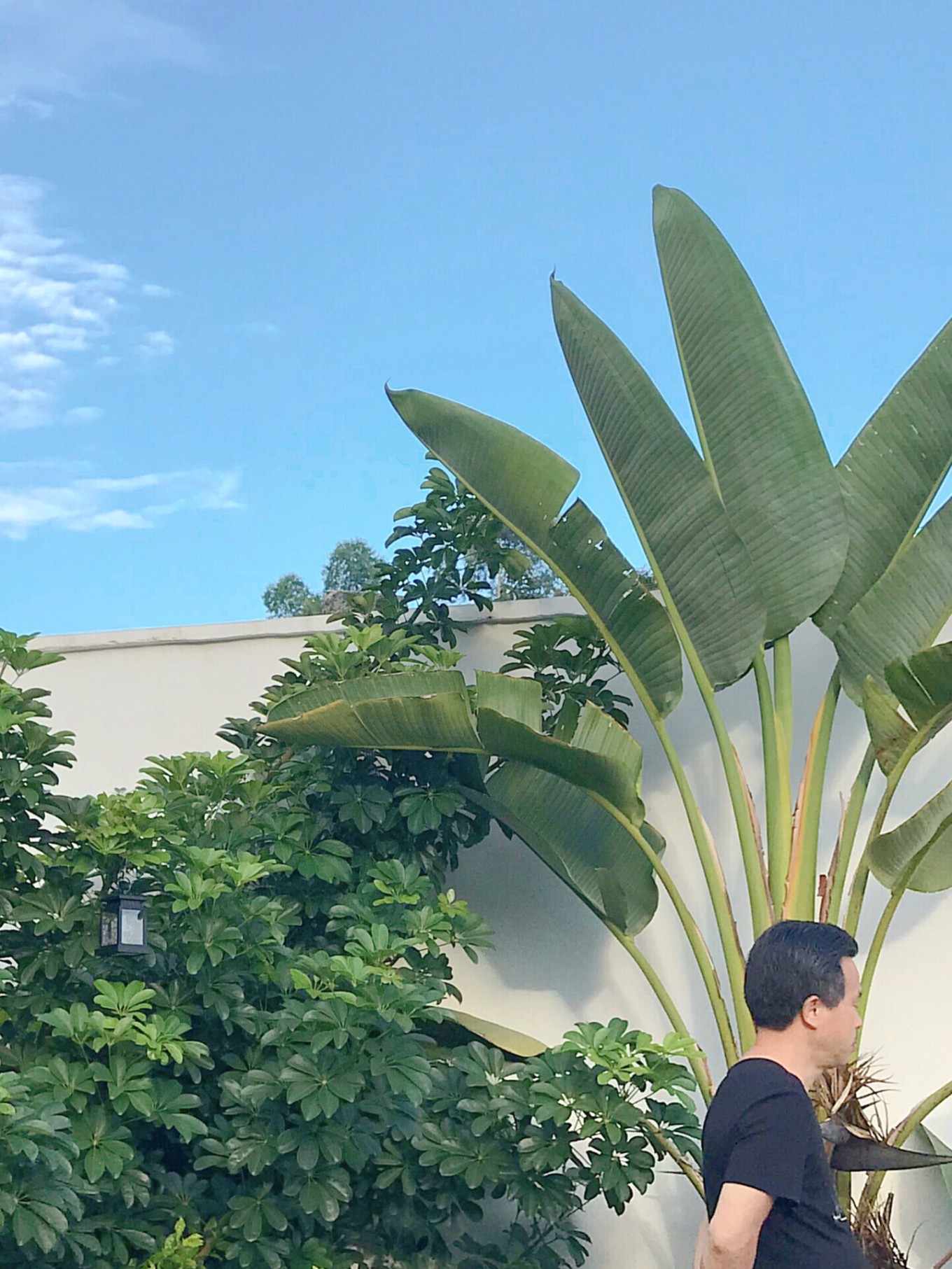 四天三晚北海涠洲岛旅游攻略,北海攻略涠洲岛攻略