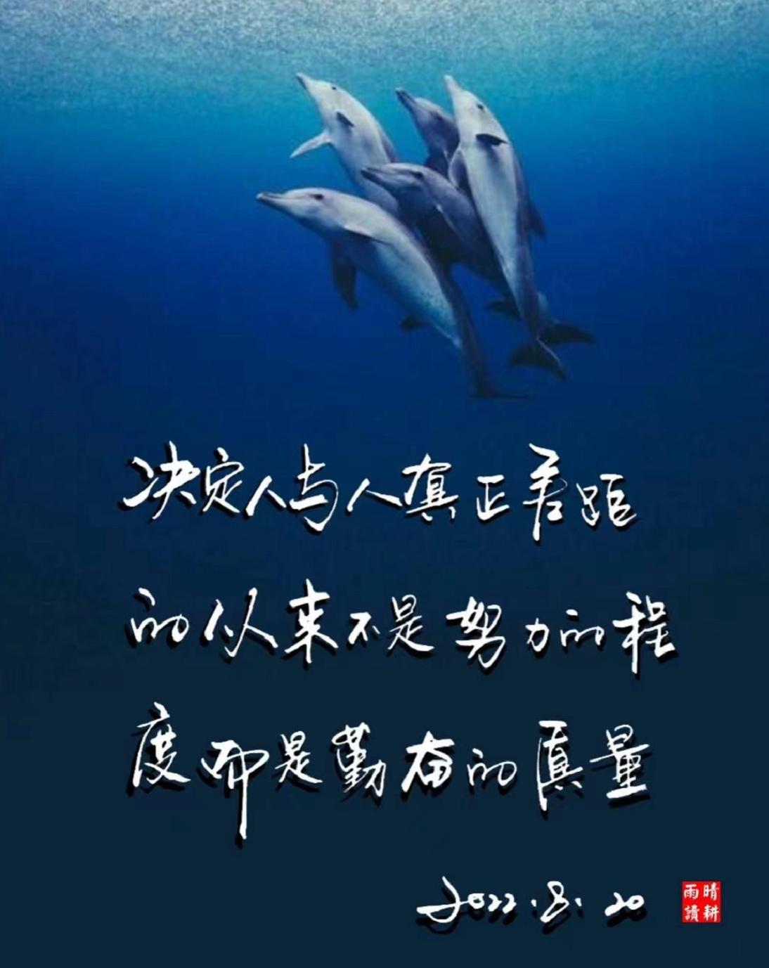 唯热爱可抵岁月漫长下一句,唯有真心与热爱可抵岁月漫长