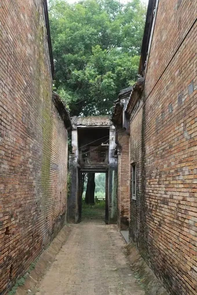 雷州自由行旅游攻略,湛江雷州旅游攻略自由行最佳路线