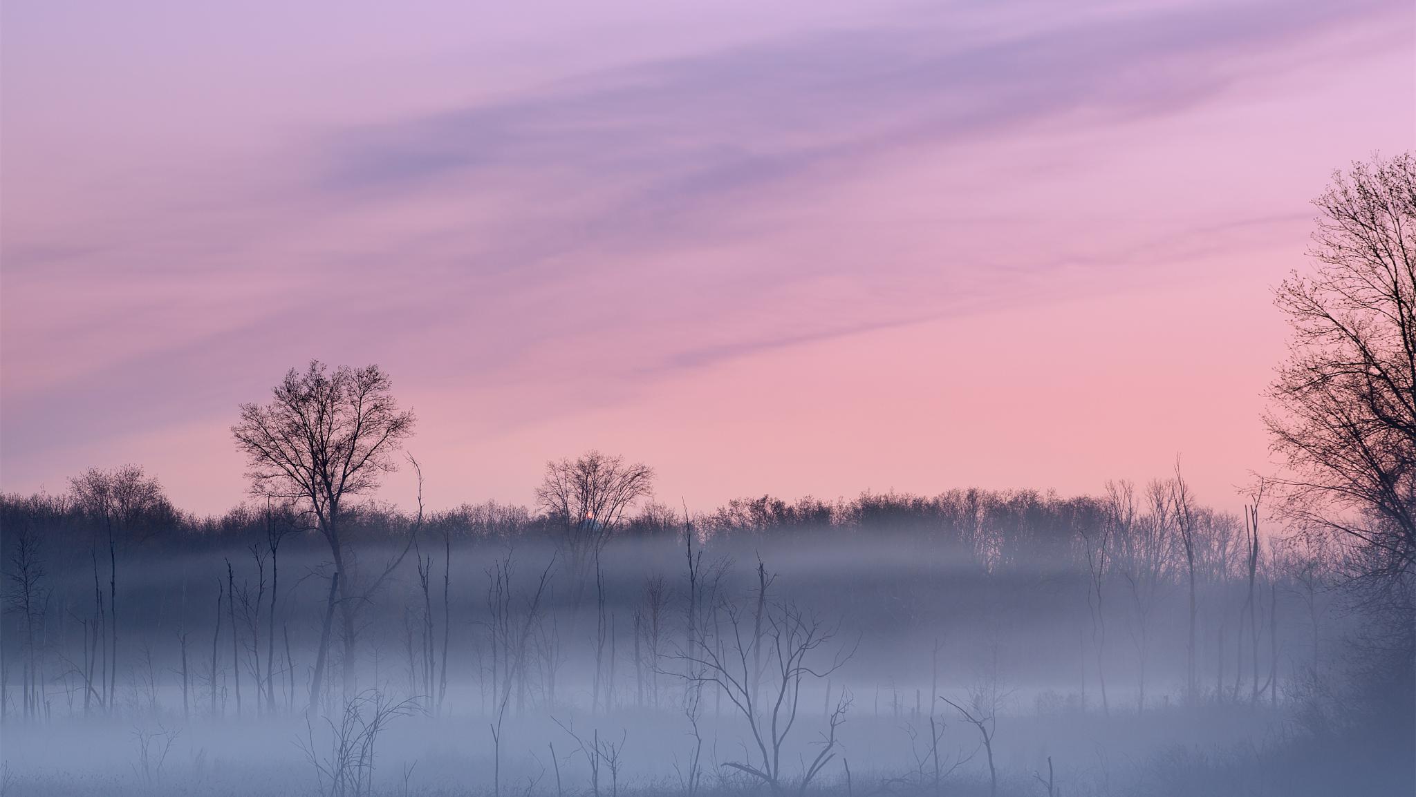 怀孕上班错拿老公饭盒,怀孕带饭上班一天错拿妹妹饭盒