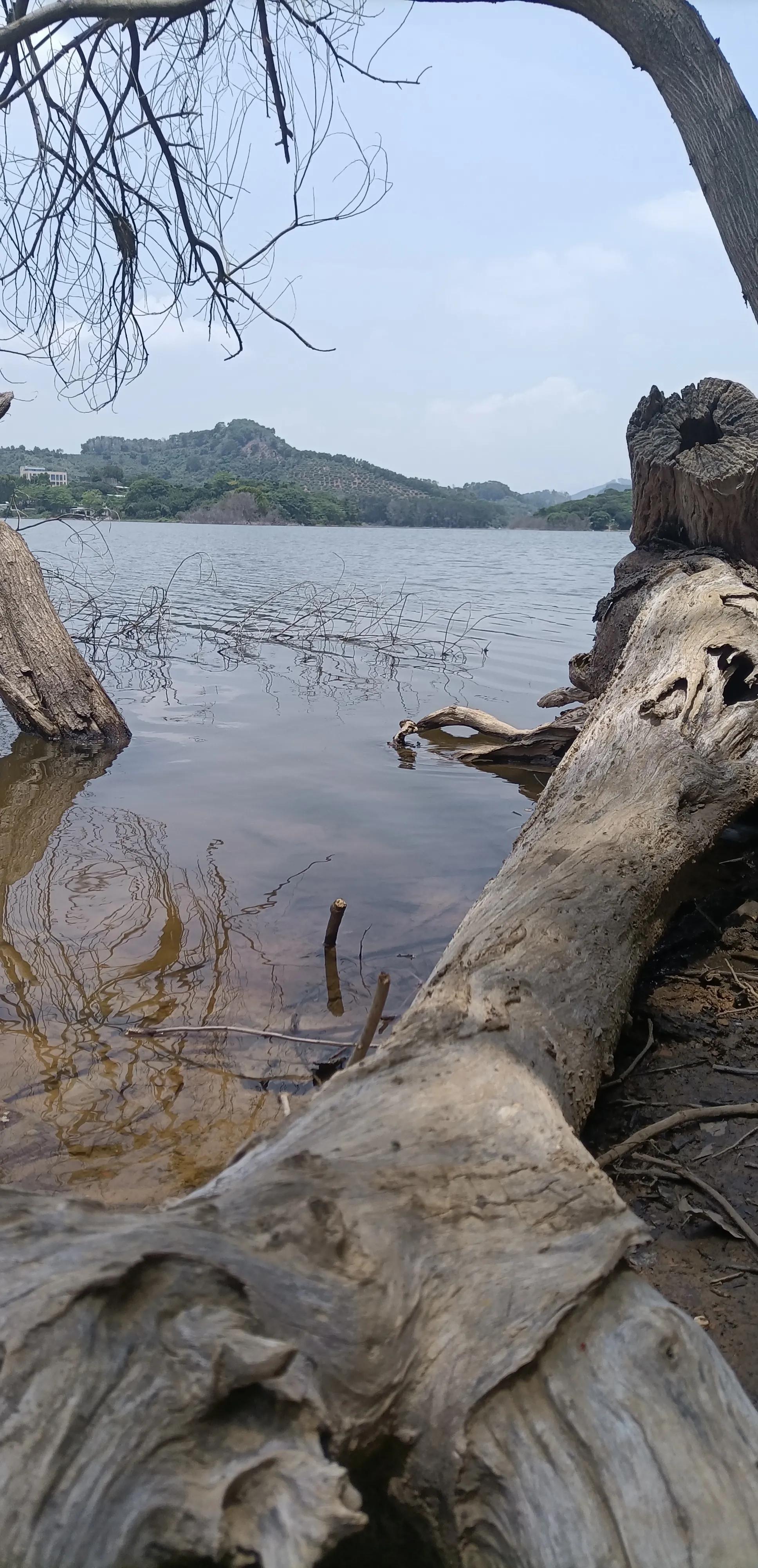 平常心即是道经典语录,平常心即是道南怀瑾
