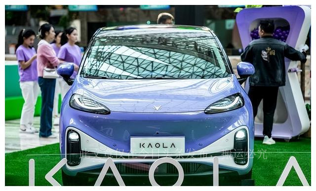 宝妈专属爱TA就要考拉