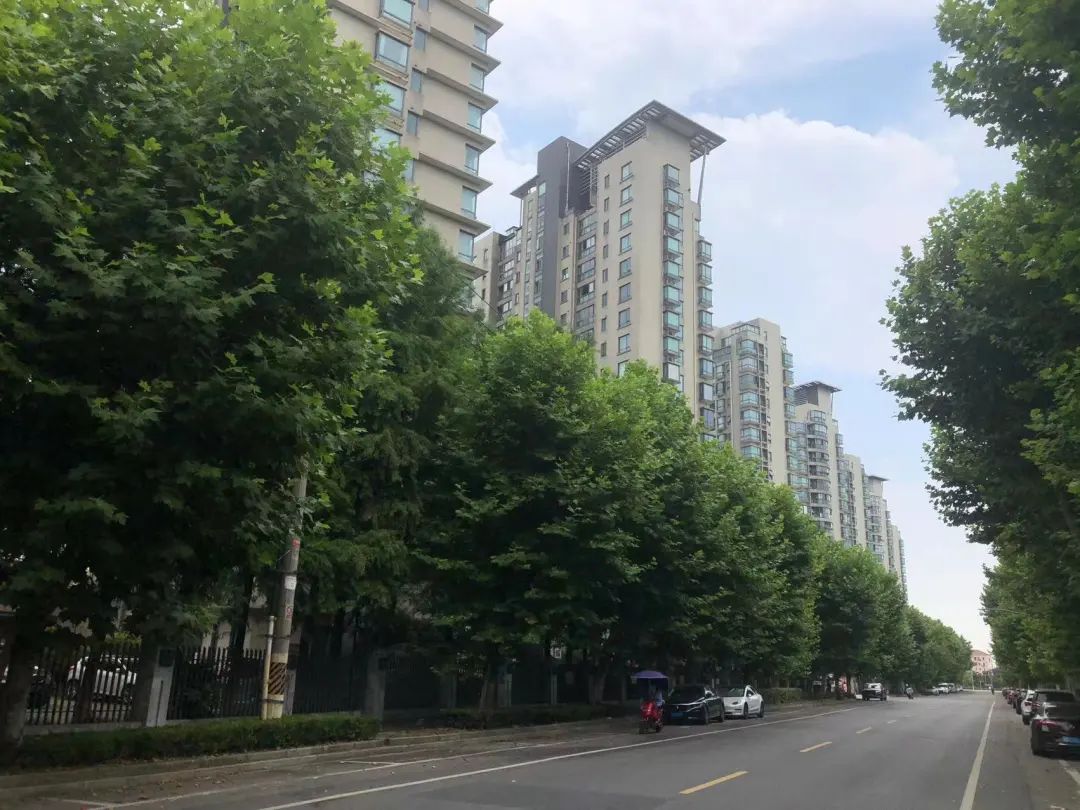 浦东新区北蔡附近吃的,浦东北蔡为什么发展得不好