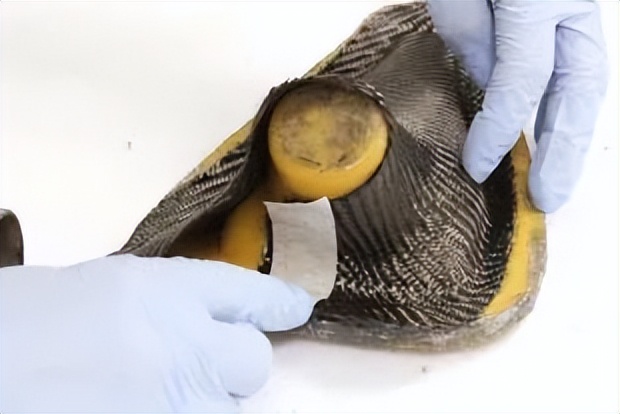 非热压罐工艺,碳纤维复合材料热压罐设计加工