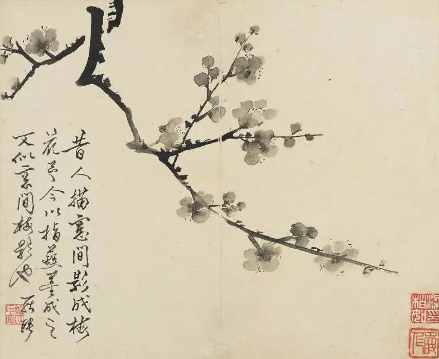 清代九大名家花鸟册页欣赏,清朝九大名家花鸟山水图